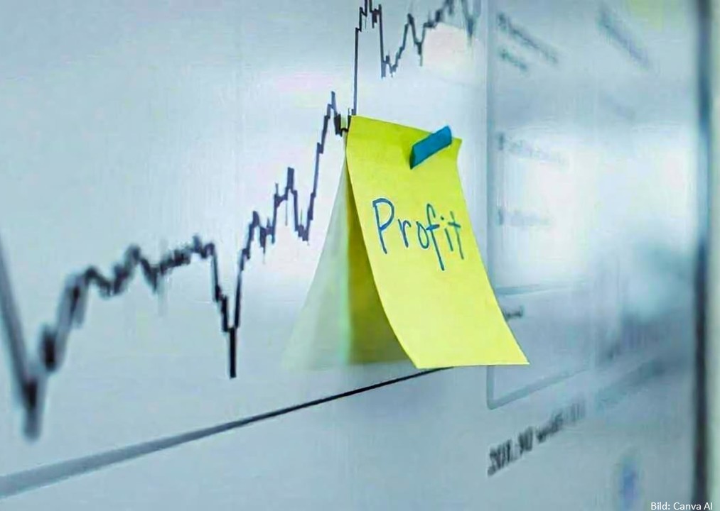 Öffnet die Seite 'Endlich Aktien und Börse verstehen'